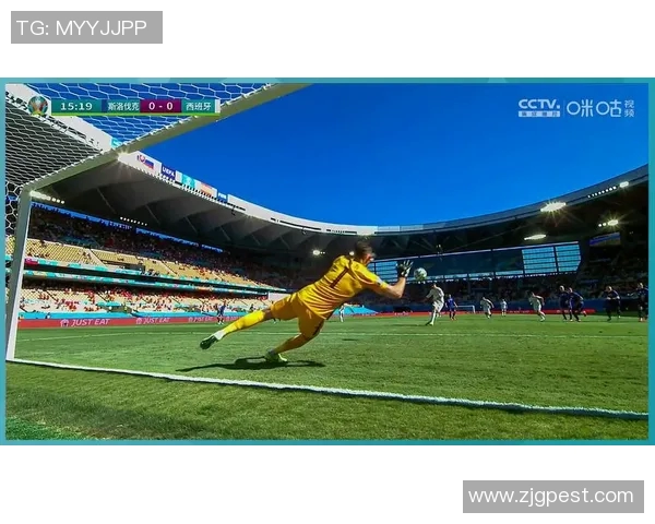 聂家河镇足球比赛精彩直播回放全程回顾与精彩瞬间分析