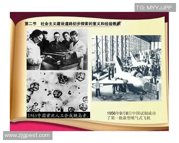 拉波尔特的崛起与挑战:探索其在现代社会中的影响与意义